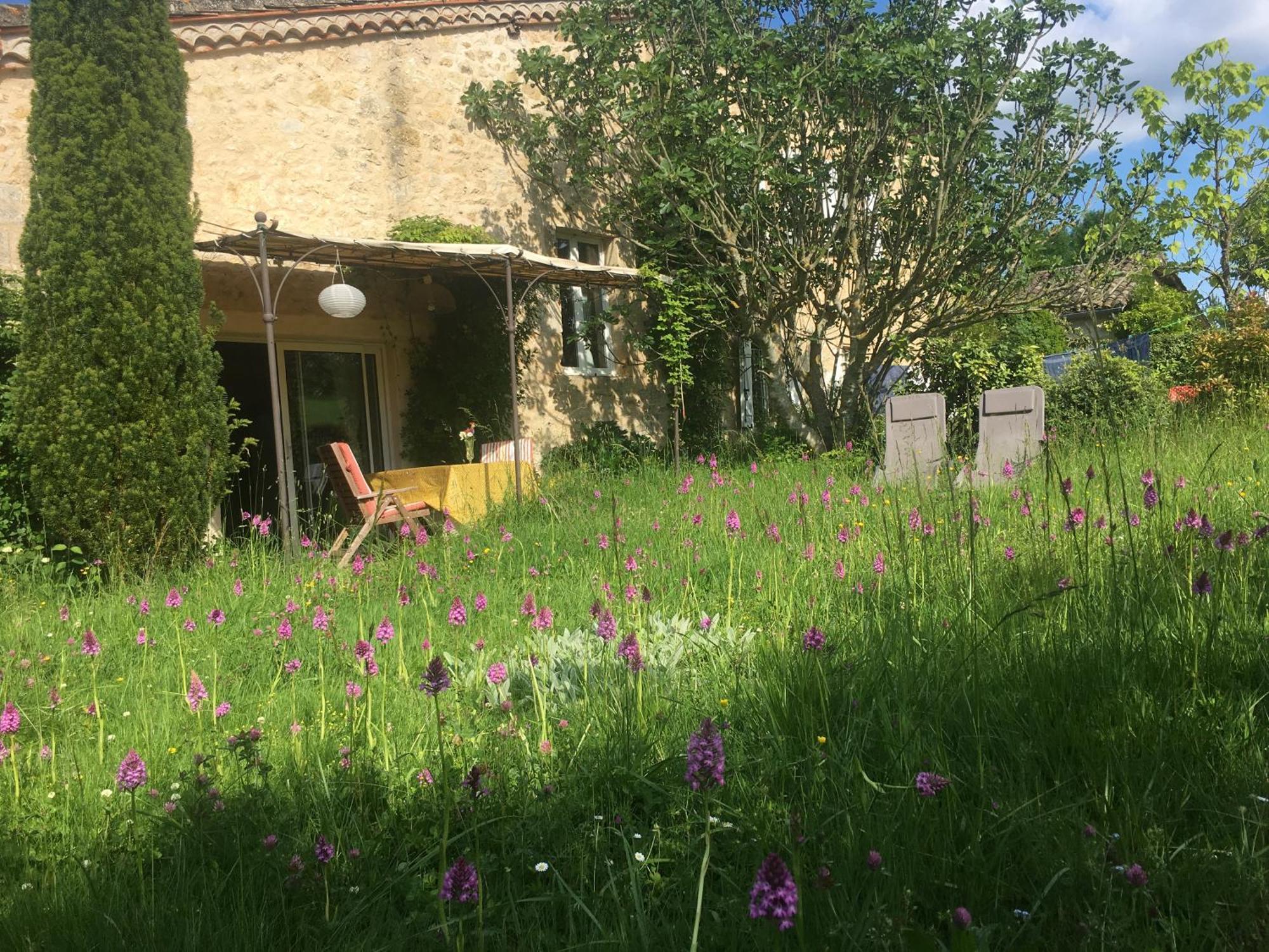 Puechblanc Gites Et Chambre D'Hote Dans Le Triangle D'Or Gaillac-Albi-Cordes Sur Ciel Fayssac 外观 照片