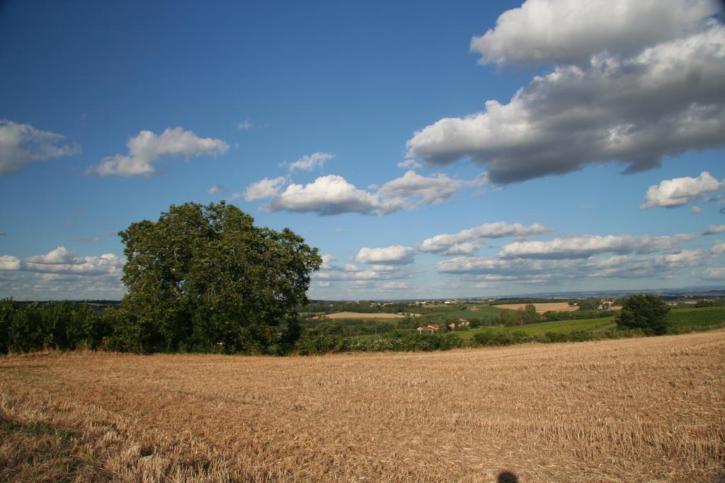 Puechblanc Gites Et Chambre D'Hote Dans Le Triangle D'Or Gaillac-Albi-Cordes Sur Ciel Fayssac 外观 照片