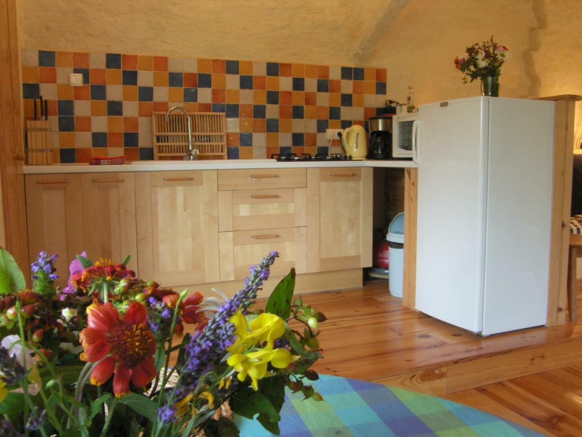Puechblanc Gites Et Chambre D'Hote Dans Le Triangle D'Or Gaillac-Albi-Cordes Sur Ciel Fayssac 外观 照片